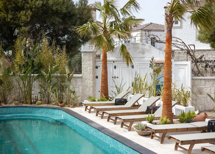 Art ألاتشاتي